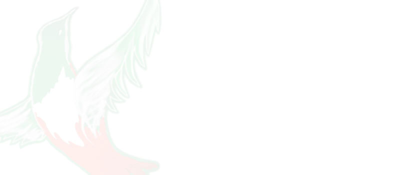 background.jpg
